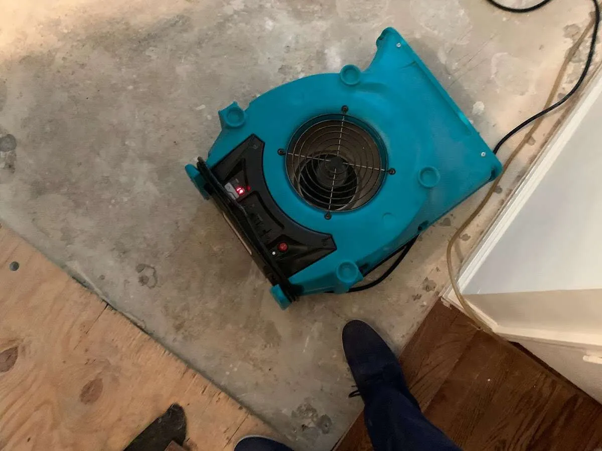Air mover drying subfloor during Leak Detection & Repair in Swoyersville